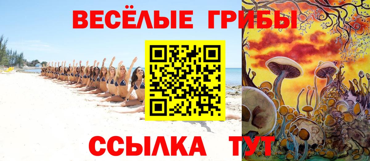 Псилоцибиновые грибы прущие грибы  купить  сайты  Кувандык  Галлюциногенные грибы Psilocybe  Вход с VPN 
