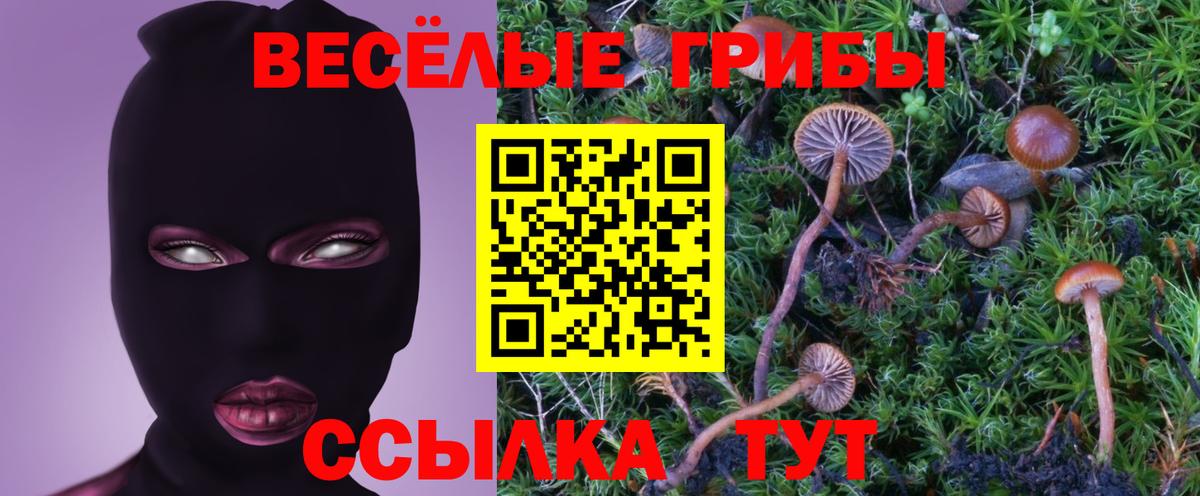 Галлюциногенные грибы мухоморы Кувандык